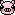buta.gif